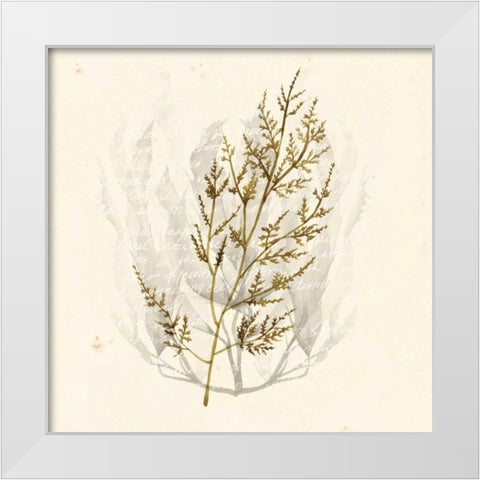 Vivid Algae I White Modern Wood Framed Art Print by Popp, Grace