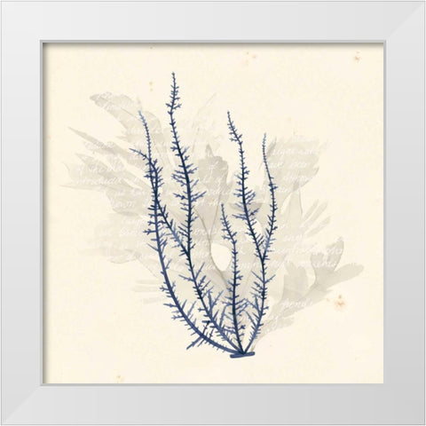 Vivid Algae III White Modern Wood Framed Art Print by Popp, Grace