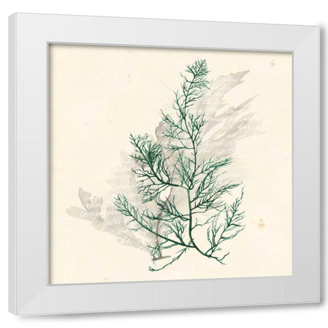 Vivid Algae IV White Modern Wood Framed Art Print by Popp, Grace