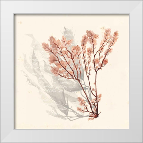 Vivid Algae VI White Modern Wood Framed Art Print by Popp, Grace