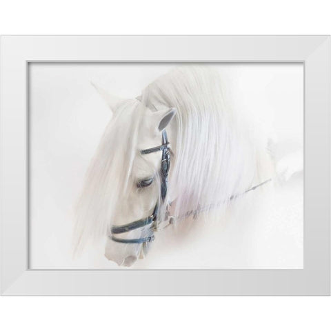 Purebred III White Modern Wood Framed Art Print by Sturgeon, Ozana