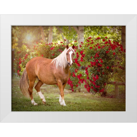 Flower Frolick IV White Modern Wood Framed Art Print by Sturgeon, Ozana