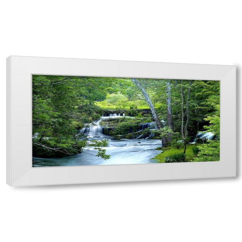 Enchanted Forest White Modern Wood Framed Art Print by McLoughin, James