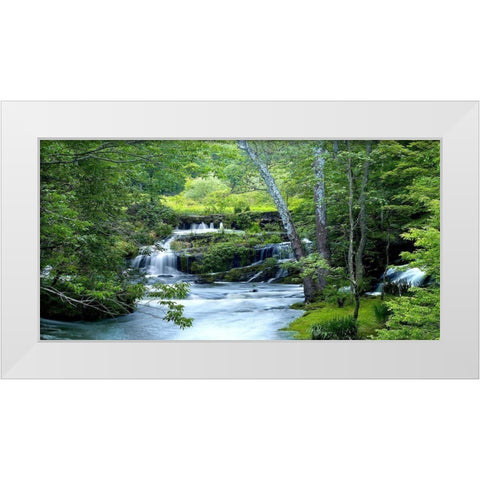 Enchanted Forest White Modern Wood Framed Art Print by McLoughin, James