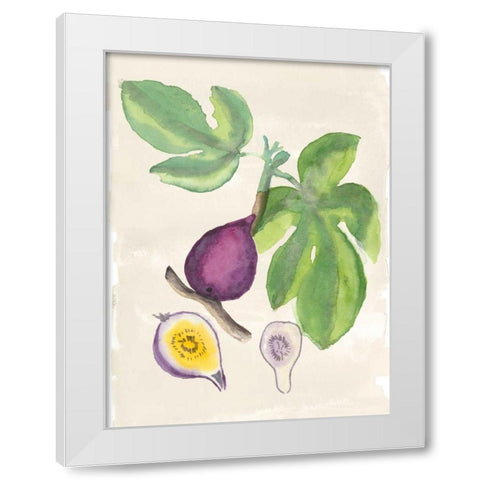 Watercolor Fruit I White Modern Wood Framed Art Print by McCavitt, Naomi