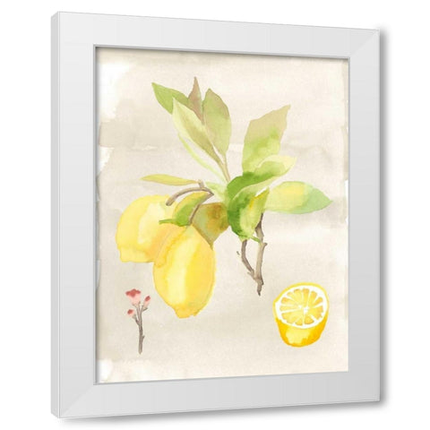 Watercolor Fruit II White Modern Wood Framed Art Print by McCavitt, Naomi