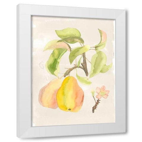 Watercolor Fruit III White Modern Wood Framed Art Print by McCavitt, Naomi