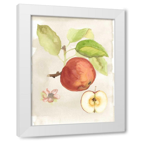 Watercolor Fruit IV White Modern Wood Framed Art Print by McCavitt, Naomi