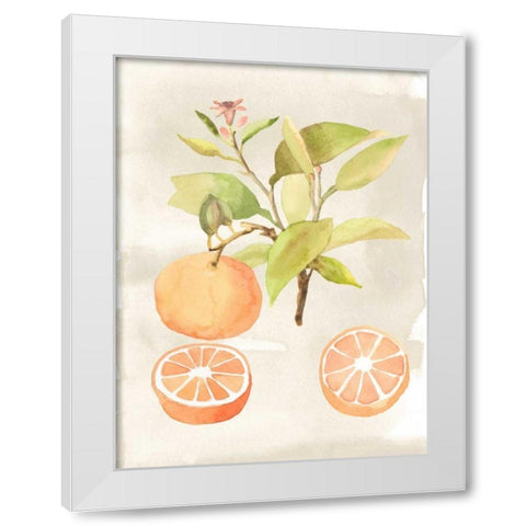 Watercolor Fruit V White Modern Wood Framed Art Print by McCavitt, Naomi