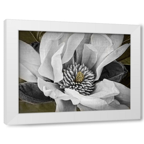 Custom Classic Magnolia II (ASH) White Modern Wood Framed Art Print by Perry, Rachel