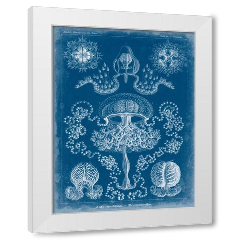 Marine Blueprint IV White Modern Wood Framed Art Print by Vision Studio