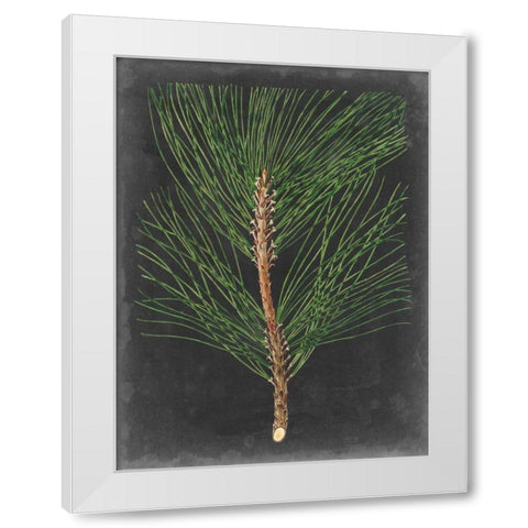 Dramatic Pine I White Modern Wood Framed Art Print by Vision Studio