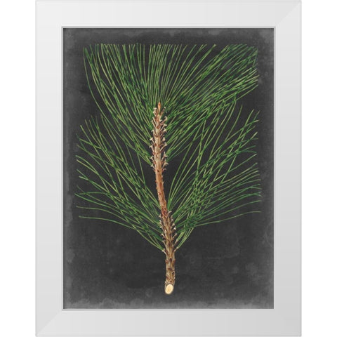 Dramatic Pine I White Modern Wood Framed Art Print by Vision Studio