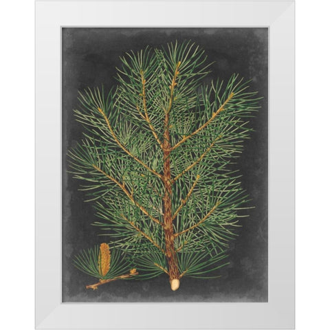 Dramatic Pine II White Modern Wood Framed Art Print by Vision Studio