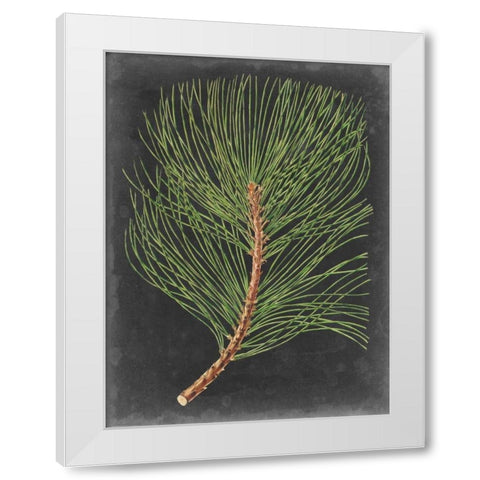 Dramatic Pine III White Modern Wood Framed Art Print by Vision Studio