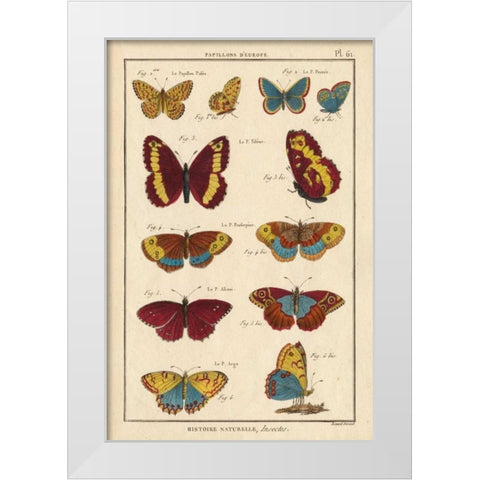 Histoire Naturelle Butterflies IV White Modern Wood Framed Art Print by Unknown
