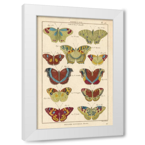Histoire Naturelle Butterflies V White Modern Wood Framed Art Print by Unknown