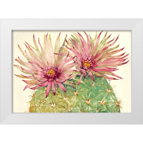 Cactus Blossoms I White Modern Wood Framed Art Print by OToole, Tim