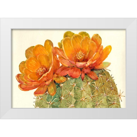 Cactus Blossoms II White Modern Wood Framed Art Print by OToole, Tim