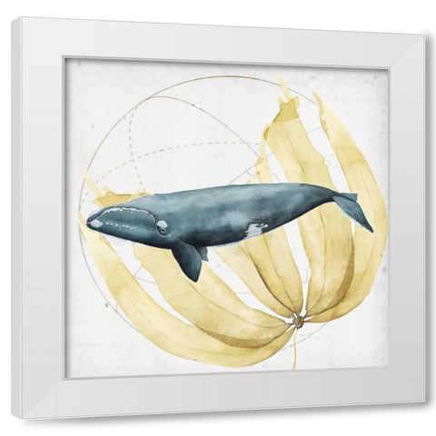 Love of the Sea II White Modern Wood Framed Art Print by Popp, Grace