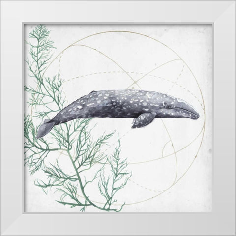 Love of the Sea III White Modern Wood Framed Art Print by Popp, Grace