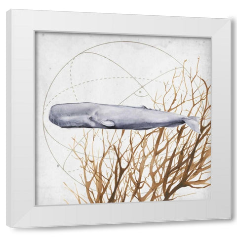 Love of the Sea IV White Modern Wood Framed Art Print by Popp, Grace
