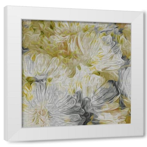 Custom Mums in Sun I (ASH) White Modern Wood Framed Art Print by Burghardt, James