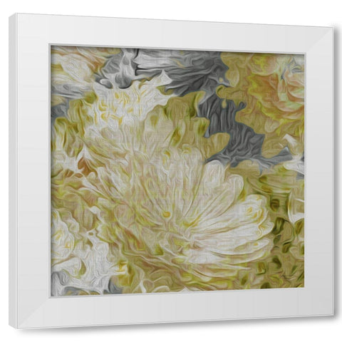 Custom Mums in Sun II (ASH) White Modern Wood Framed Art Print by Burghardt, James
