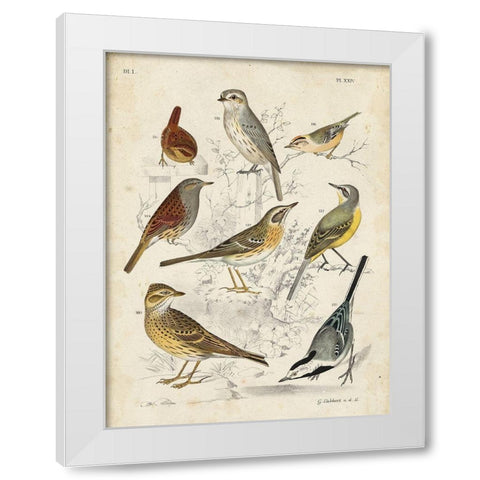 Custom Gathering of Birds I (ASH) White Modern Wood Framed Art Print by Lubbert, G.