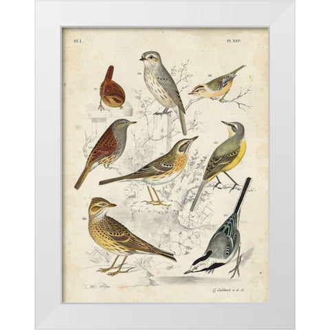 Custom Gathering of Birds I (ASH) White Modern Wood Framed Art Print by Lubbert, G.
