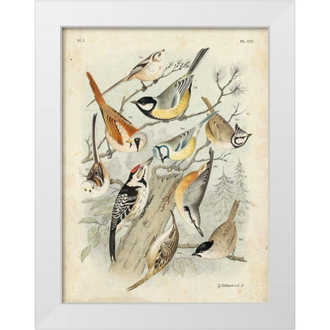 Custom Gathering of Birds II (ASH) White Modern Wood Framed Art Print by Lubbert, G.