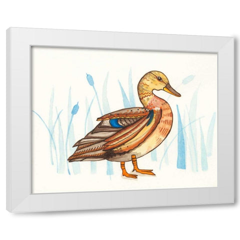 Wetland Mallard II White Modern Wood Framed Art Print by Ewer, Rebekah