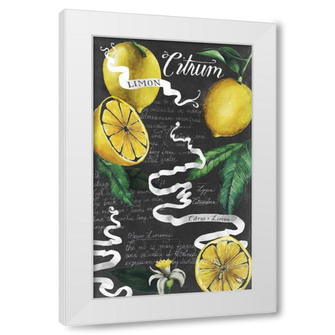 Chalkboard Citrus I White Modern Wood Framed Art Print by Popp, Grace