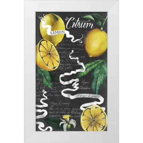 Chalkboard Citrus I White Modern Wood Framed Art Print by Popp, Grace