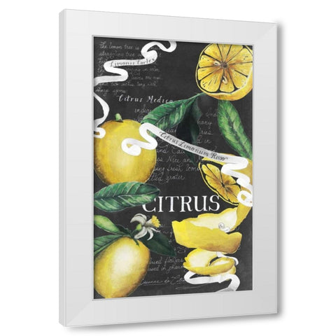 Chalkboard Citrus II White Modern Wood Framed Art Print by Popp, Grace