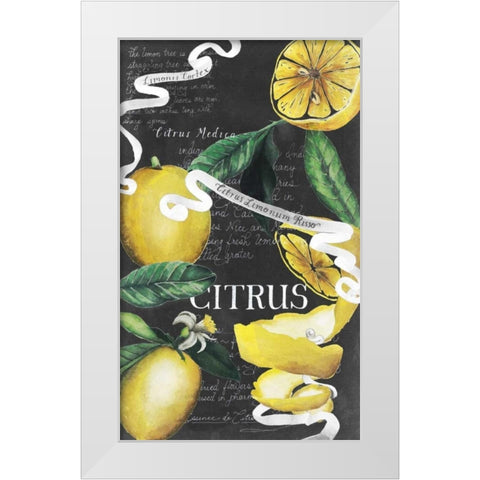 Chalkboard Citrus II White Modern Wood Framed Art Print by Popp, Grace