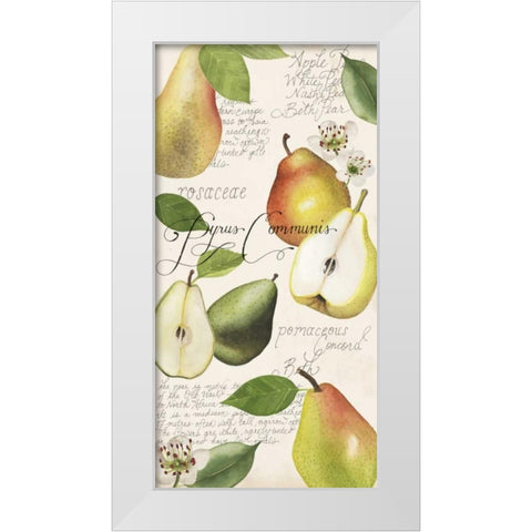 Pyrus Study I White Modern Wood Framed Art Print by Popp, Grace