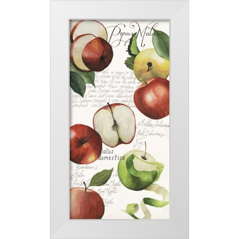 Pyrus Study II White Modern Wood Framed Art Print by Popp, Grace