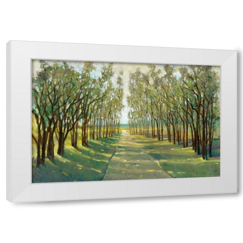 Forest Path White Modern Wood Framed Art Print by OToole, Tim