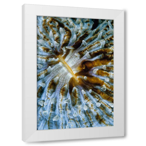 Interlude - Papua New Guinea White Modern Wood Framed Art Print by Factor, Beverly