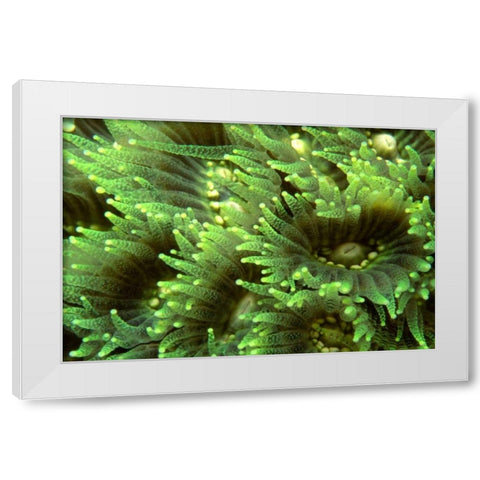 Tender Moment - Indonesia White Modern Wood Framed Art Print by Factor, Beverly