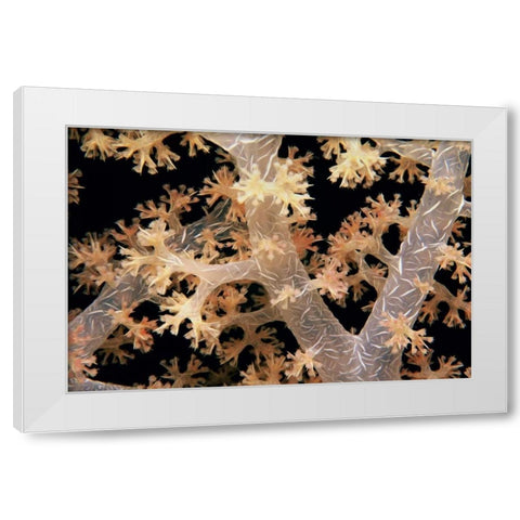 Splendid Branches - Fiji White Modern Wood Framed Art Print by Factor, Beverly