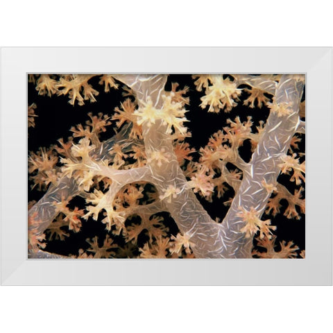 Splendid Branches - Fiji White Modern Wood Framed Art Print by Factor, Beverly