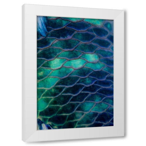 Ripples - Malaysia White Modern Wood Framed Art Print by Factor, Beverly