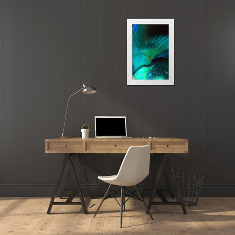 Finality - Australia White Modern Wood Framed Art Print by Factor, Beverly