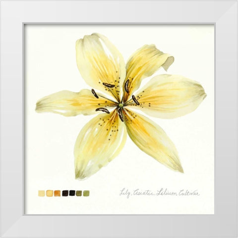 Lilium I White Modern Wood Framed Art Print by Popp, Grace