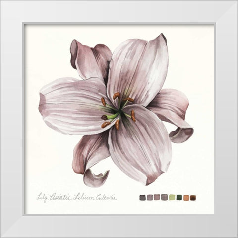 Lilium II White Modern Wood Framed Art Print by Popp, Grace