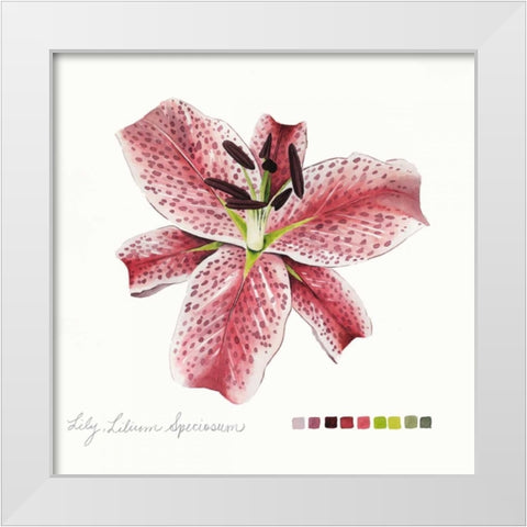 Lilium III White Modern Wood Framed Art Print by Popp, Grace