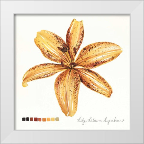 Lilium IV White Modern Wood Framed Art Print by Popp, Grace