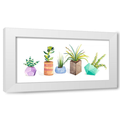 Succulent Display I White Modern Wood Framed Art Print by Ewer, Rebekah
